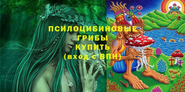 mdma Богданович