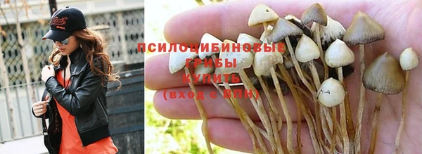 мдма Богородицк